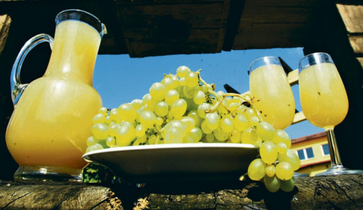 ilustrační fotografie