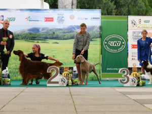 BLESKOVÁ SOUTĚŽ: Vyhrajte vstupenky na národní výstavu psů Floracanis
