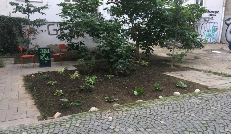 FOTO: Lidé ze Zachraňme Floru Olomouc zvelebili proluku ve Ztracené ulici