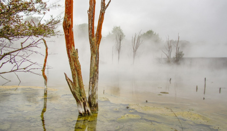 POČASÍ NA PÁTEK: Ráno se objeví mlhy, k večeru místy zaprší