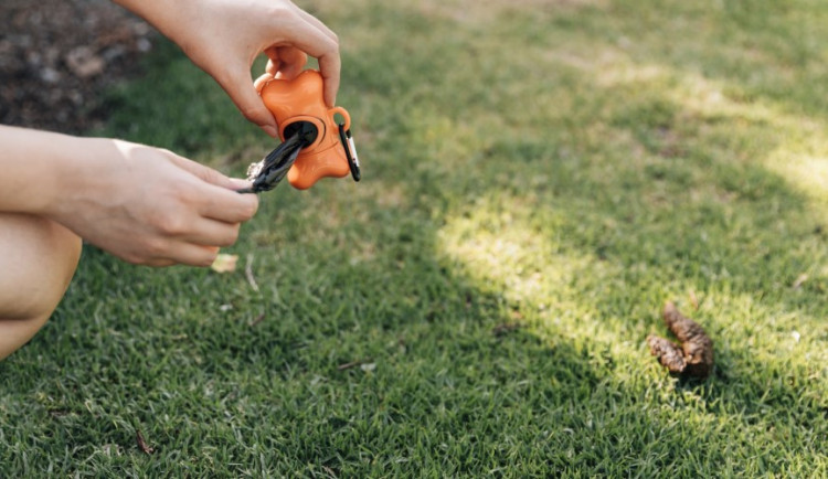 V Přerově mají devět tun neposbíraných psích bobků ročně. Město instaluje speciální koše