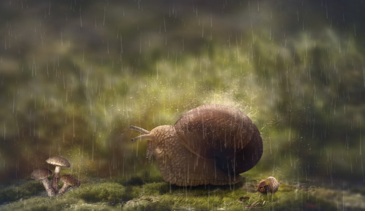 POČASÍ NA ČTVRTEK: Dnes bude oblačno, odpoledne zaprší a povane mírný vítr
