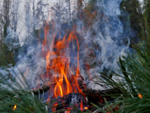 Muž na zahradě pálil hromadu větví. Hrozí mu pokuta až sto tisíc