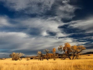 POČASÍ NA PÁTEK: Ráno se objeví mlhy, přes den bude přibývat oblačnosti