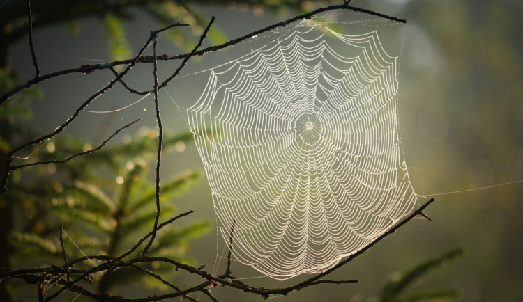 POČASÍ NA SOBOTU: Na začátku víkendu bude oblačno a místy zaprší