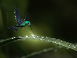 POČASÍ NA STŘEDU: Dnes bude zataženo a zaprší