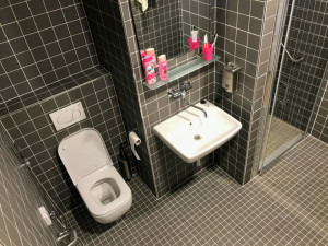 Některé pokoje oddělení šestinedělí ve Fakultní nemocnici mají nové toalety a koupelny