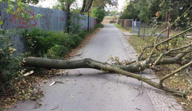 Kvůli silnému větru řeší oznamení i olomoučtí strážníci. Zasahovali u pošty na Foerstrově ulici i u Rozária