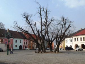 V Přerově byla odkryta historická studna. Je stále funkční a drží se v ní voda