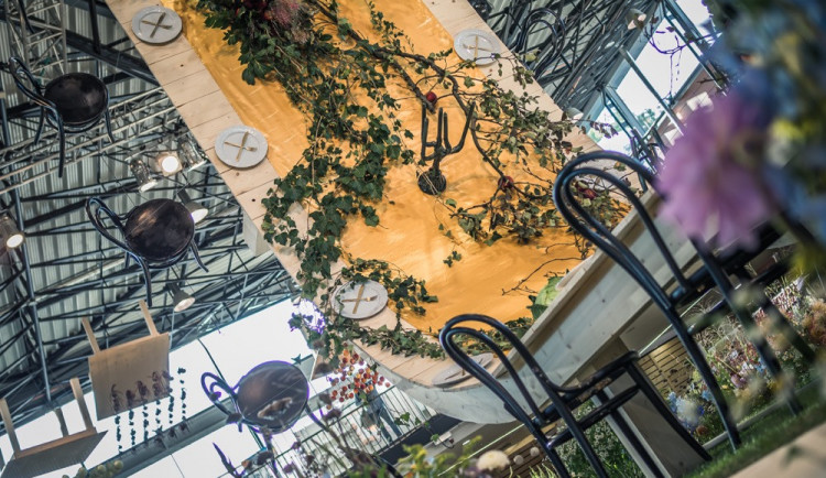 Podzimní etapu Flory Olomouc navštívilo 20 tisíc lidí