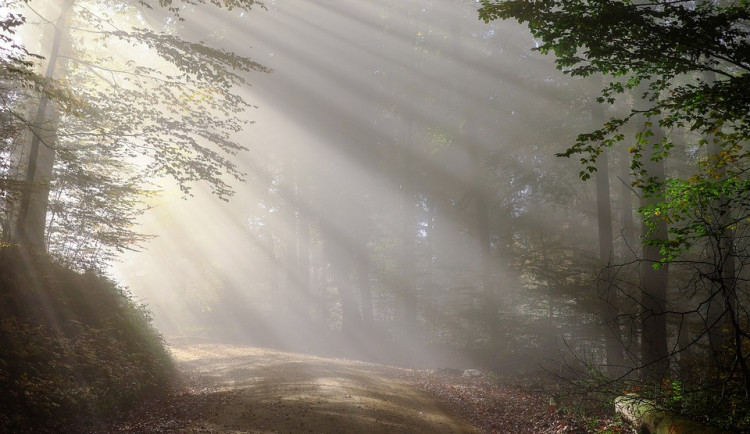 ilustrační fotografie