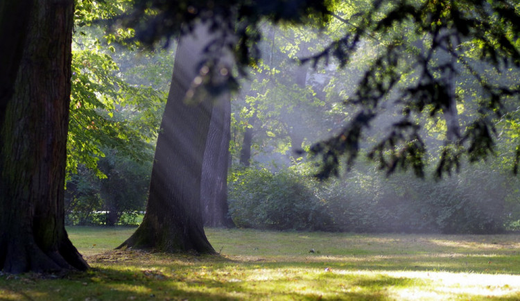 POČASÍ NA ČTVRTEK: Bude jasno až polojasno, ráno ojediněle mlhy
