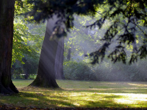 POČASÍ NA ČTVRTEK: Bude jasno až polojasno, ráno ojediněle mlhy