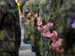 Série vítězných fotek Denisy Albaniové.