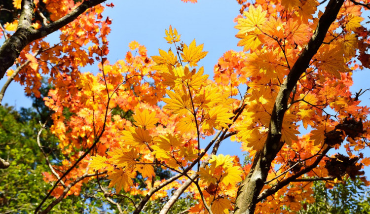 POČASÍ NA ČTVRTEK: Ráno bude zataženo, přes den skoro jasno na většině území