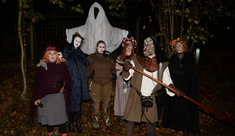 Olomoucká zoo chystá Večer duchů. Bude se volit Miss Děs