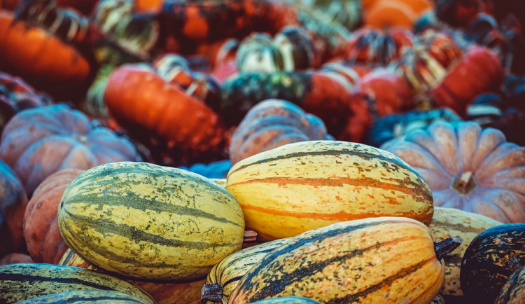 VÍKEND PODLE DRBNY: Vzpomínky na revoluční listopad i spousta strašidel