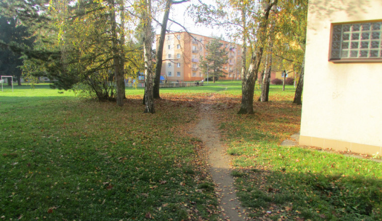 Pachatel lehce poranil v parčíku tři dívky neznámou zbraní