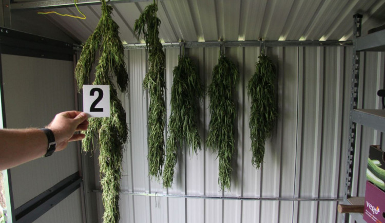 Policie zabavila konopí dvaceti pěstitelům. Jednoho z nich navíc obvinila z výroby pervitinu