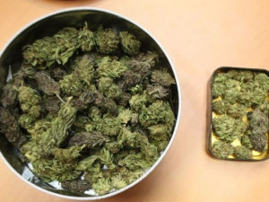 FOTO: Marihuana, hašiš i pervitin. Olomoučtí kriminalisté odhalili za víkend tři dealery drog