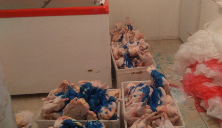 Na Přerovsku bylo odhaleno více než čtvrt tuny drůbežího masa bez dokladů