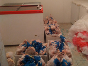 Na Přerovsku bylo odhaleno více než čtvrt tuny drůbežího masa bez dokladů