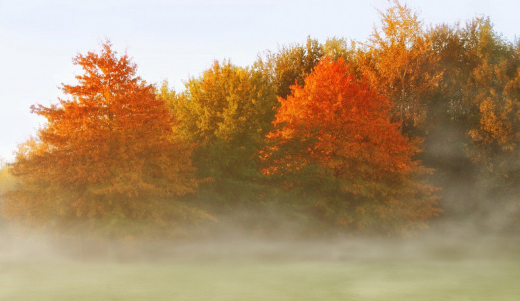 Počasí v dalších čtyřech týdnech nevybočí z normálu, ochlazovat se bude postupně