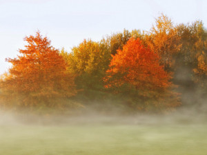 Počasí v dalších čtyřech týdnech nevybočí z normálu, ochlazovat se bude postupně
