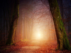 POČASÍ NA PONDĚLÍ: Ráno pozor na mrznoucí mlhy, přes den teploty do devíti stupňů