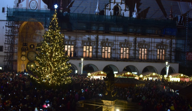 Maličký vánoční strom je v Olomouci raritou. Jak na tom se svou výškou byly stromy v minulých letech?