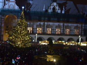Maličký vánoční strom je v Olomouci raritou. Jak na tom se svou výškou byly stromy v minulých letech?
