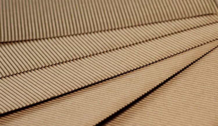 Olomoucká univerzita chystá rekonstrukci protestní zdi. Postaví ji z krabic