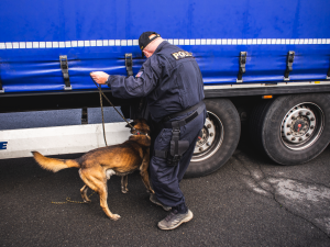 FOTO/VIDEO: Ve středu proběhla na dálnici D35 policejní akce zaměřená na odhalování nelegální migrace