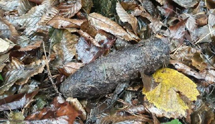 Na Prostějovsku našli nevybuchlou munici. Evakuace nebyla nutná