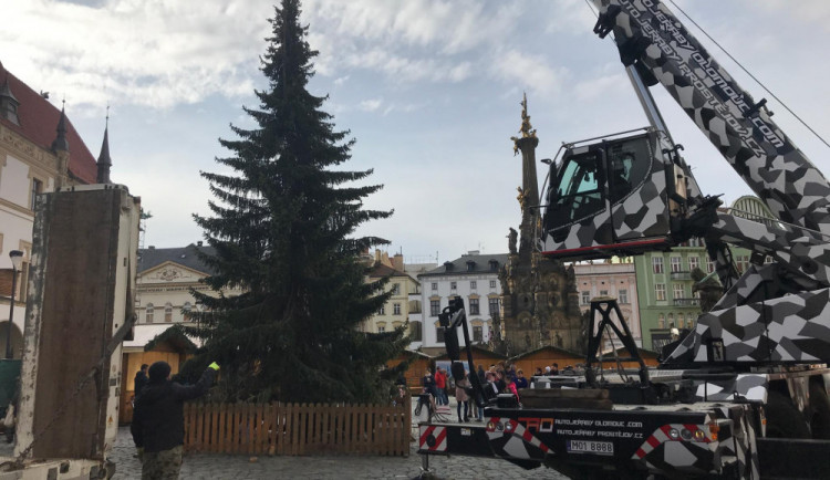 PŘEHLED: Města v našem kraji rozsvěcují vánoční stromy, podívejte se kdy