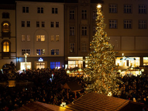 FOTO/VIDEO: Vánoční strom na Horním náměstí se letos podařilo rozsvítit až napotřetí. Někdo ho vytáhl ze zásuvky