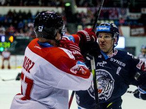 FOTOGALERIE:  Liberec skolil na domácím ledě Moru gólem v poslední minutě