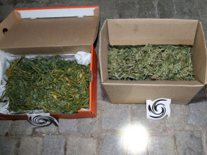 Kriminalisté z TOXI týmu zadrželi dealera, prodával drogy více než pět let