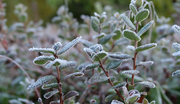 POČASÍ NA STŘEDU: Polojasno až jasno, teploty lehce nad nulou