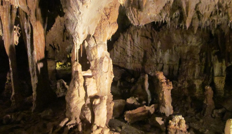 Amatérští jeskyňáři v Javoříčském krasu objevili kostru medvíděte. Přesné stáří určí radiouhlíková metoda