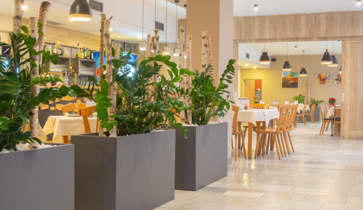 Prostějovská Restaurace U Tří bříz sází na kvalitní poctivou kuchyni i prostory pro jakoukoli akci