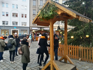 Zvoničku na Horním náměstí zdobí jmelí z Království