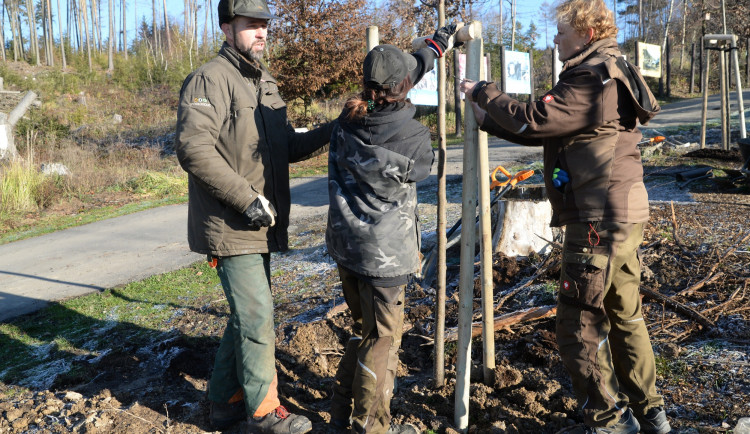 FOTO: Pracovníci olomoucké ZOO rozhodli o výsadbě nových stromů a plán hned uskutečnili