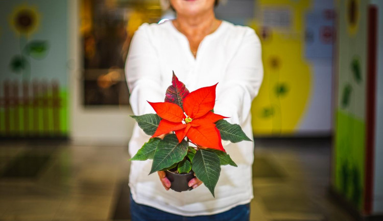FOTO: Policisté v Olomouckém kraji pomáhají dětem ve fakultní nemocnici i pozůstalým po policistech a hasičích