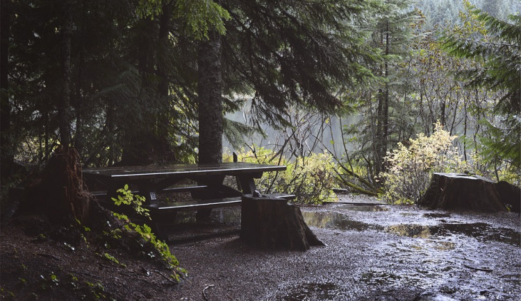 POČASÍ NA PÁTEK: Konec pracovního týdne před Vánoci bude ve znamení vysokých teplot