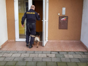 AKTUALIZOVÁNO: Držení nebezpečného materiálu v přerovském bytě se nepotvrdilo