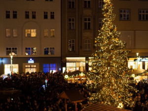Olomoucký vánoční strom skončil v celorepublikové anketě na jednom z posledních míst