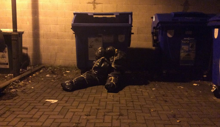 Nejlepší letošní příhody olomouckých strážníků #2: Přečtěte si, jaké situace řešili