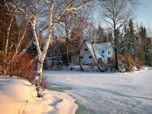 Začíná astronomická zima, dny se budou prodlužovat