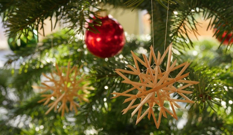 ilustrační fotografie